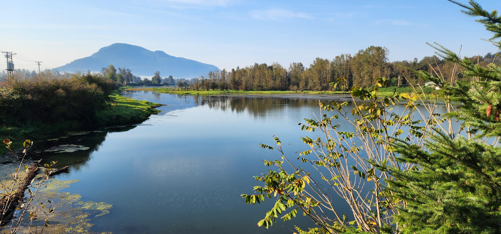 Panoramic image of lake near Deroche, BC